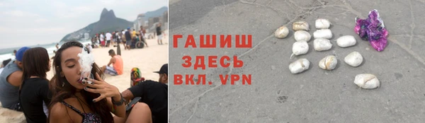 прущие грибы Армянск