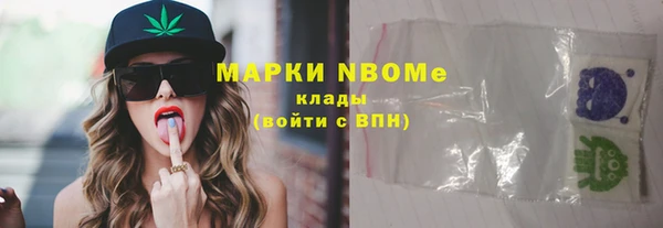 прущие грибы Армянск