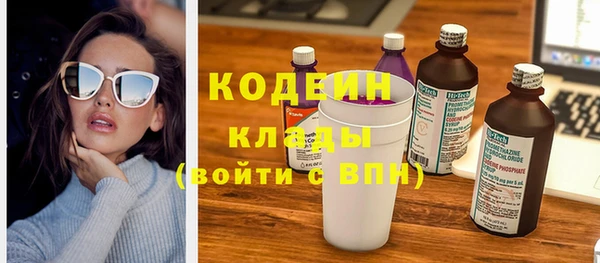 прущие грибы Армянск